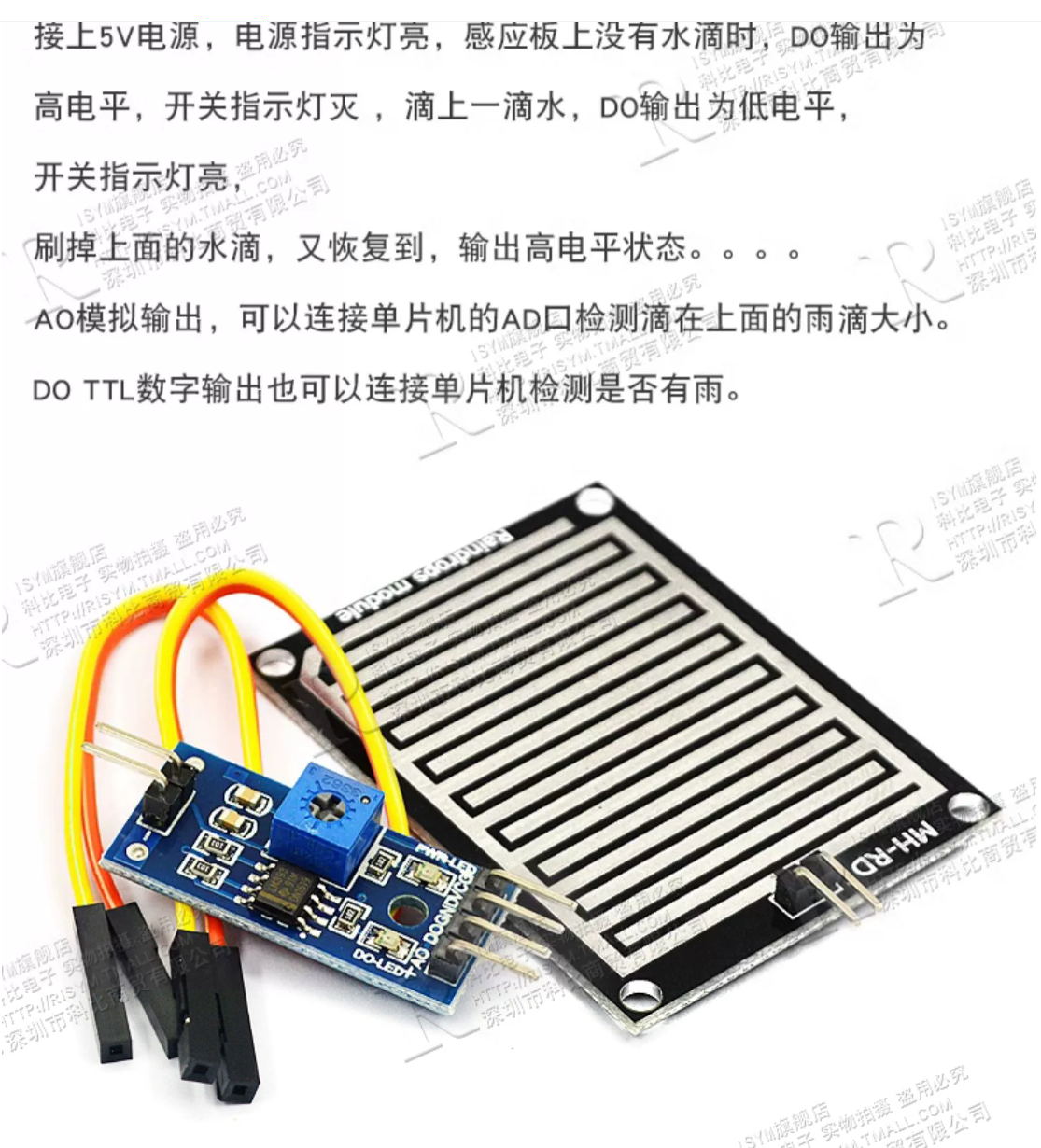 image-20250302013048494